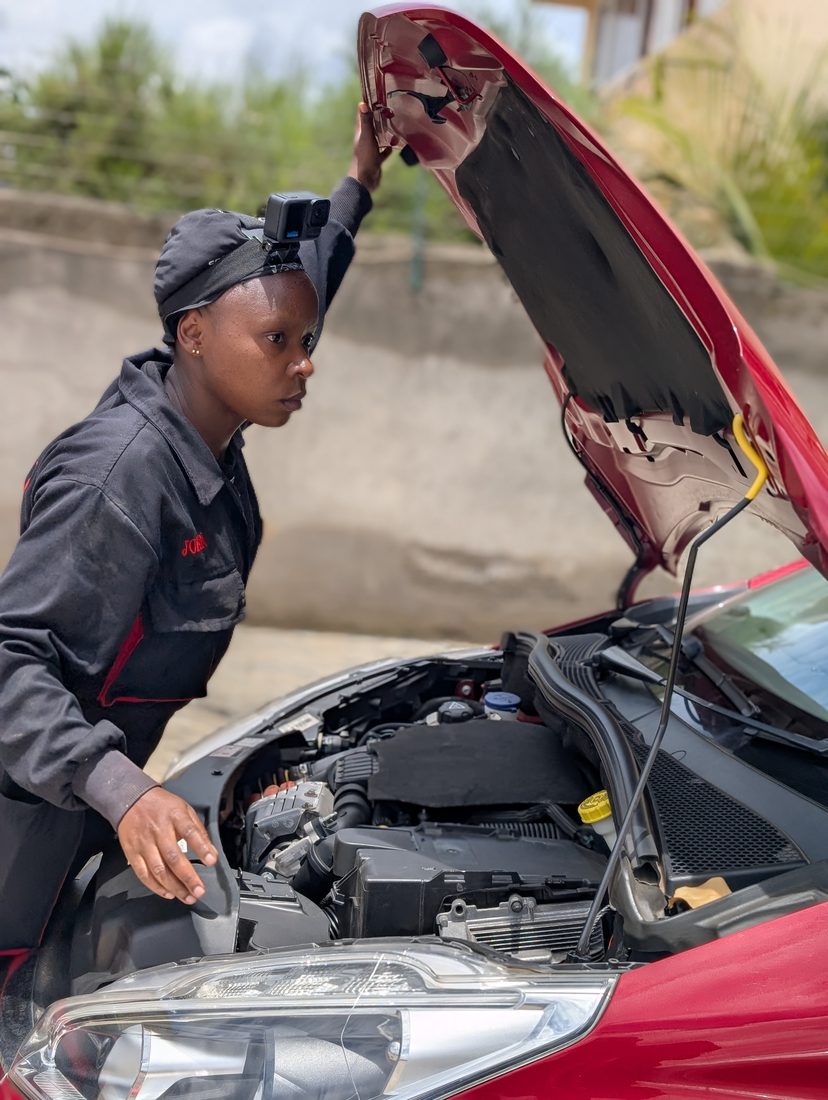 Under the bonnet, first checks