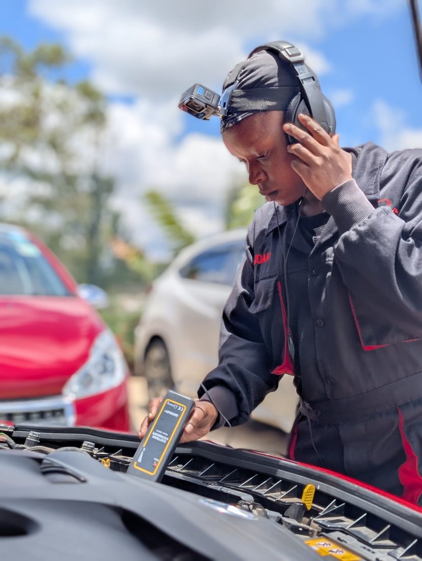 Car care: battery health
