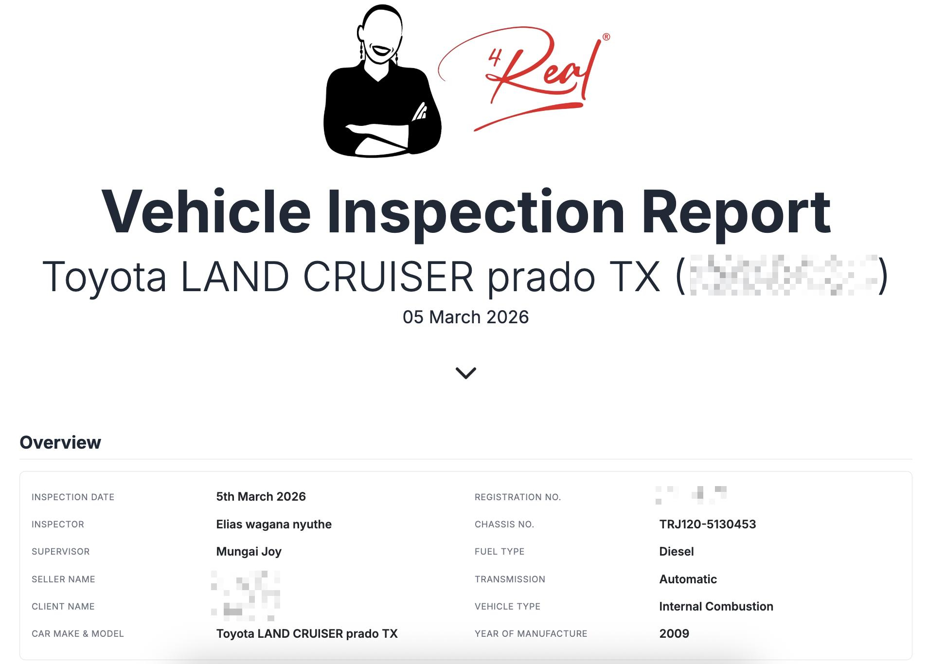 Car Inspection Image